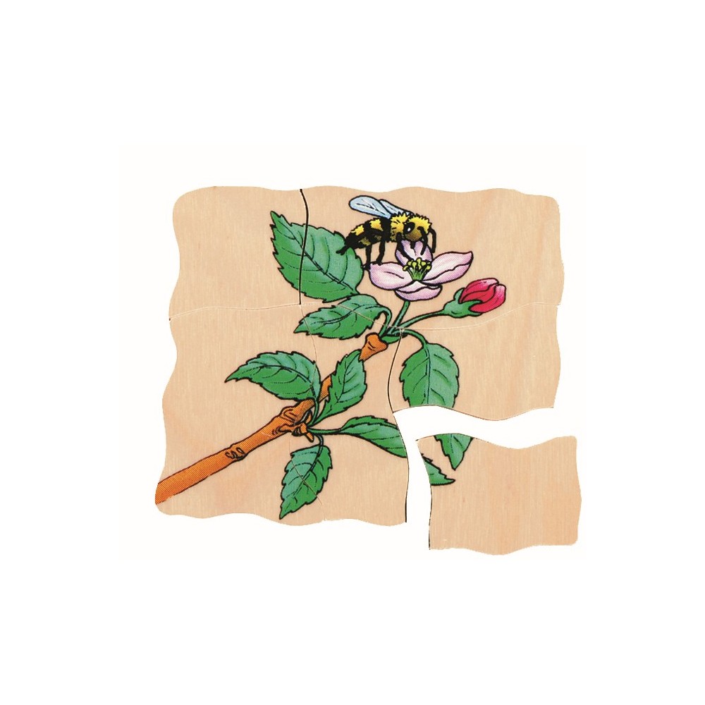 Beleduc - Puzzle 5 couches - Pomme