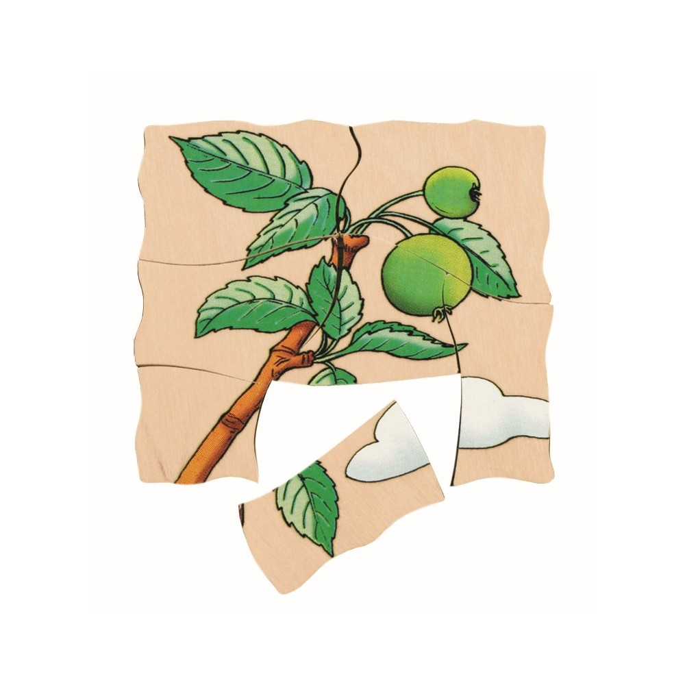 Beleduc - Puzzle 5 couches - Pomme