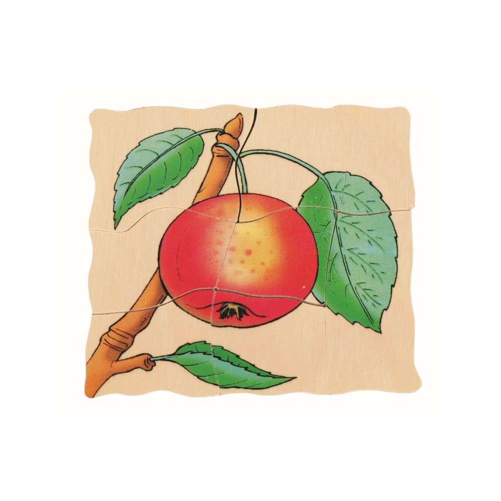 Beleduc - Puzzle 5 couches - Pomme