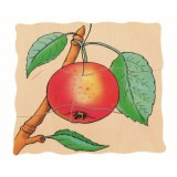 Beleduc - Puzzle 5 couches - Pomme