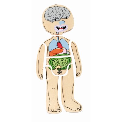 Beleduc - Puzzle 5 couches - Garçon