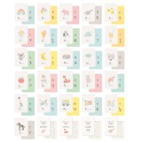 Zü - Coffret j'apprends l'alphabet en images