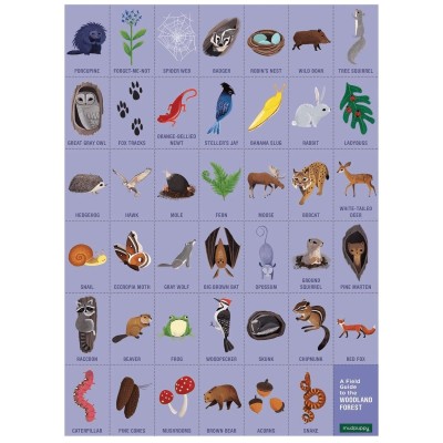 Mudpuppy - Puzzle cherche et trouve
