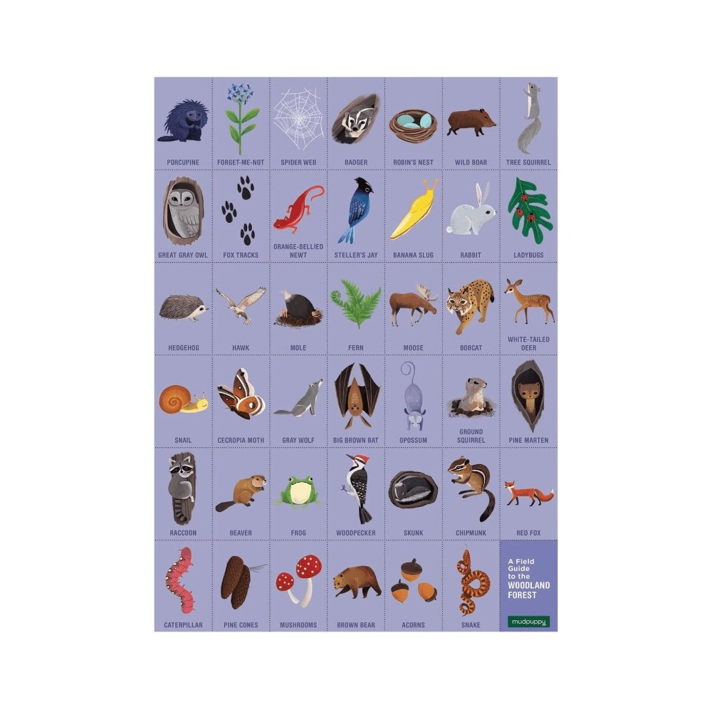 Mudpuppy - Puzzle cherche et trouve