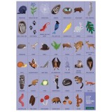 Mudpuppy - Puzzle cherche et trouve