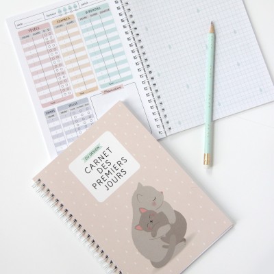 Zü - Carnet des premiers jours