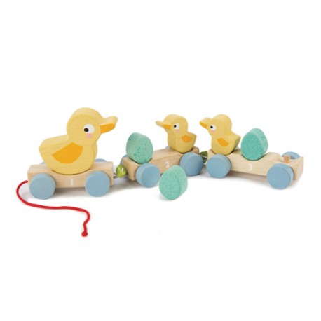 Tender leaf toys - Jeu à tirer