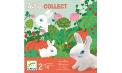 Djeco - Little collect