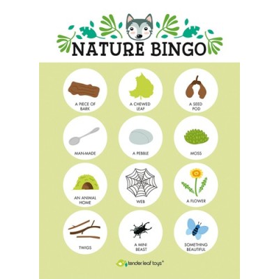 Tender leaf toys - Kit découverte