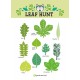Tender leaf toys - Kit découverte