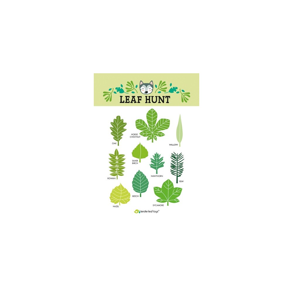 Tender leaf toys - Kit découverte