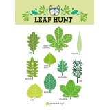 Tender leaf toys - Kit découverte