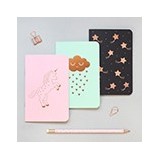 Calepins / blocs-note / Cahiers