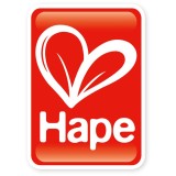 Hape toys